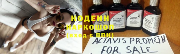 шишки Алексин