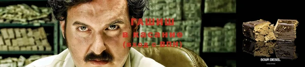 шишки Алексин