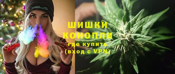 шишки Алексин